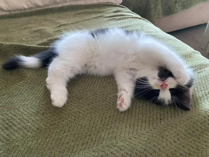 睡觉